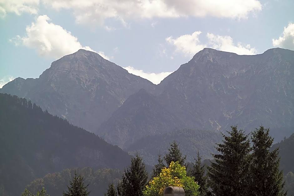 Hotel-Restaurant Bellevue