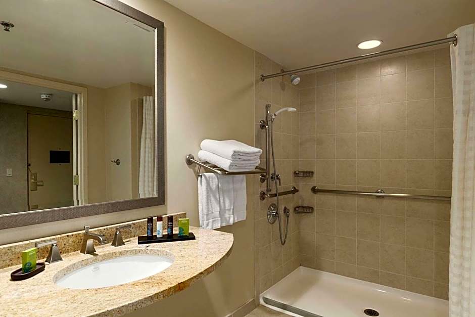 Embassy Suites by Hilton Philadelphia Valley Forge