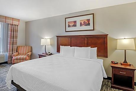 One-Bedroom King Suite - Non-Smoking