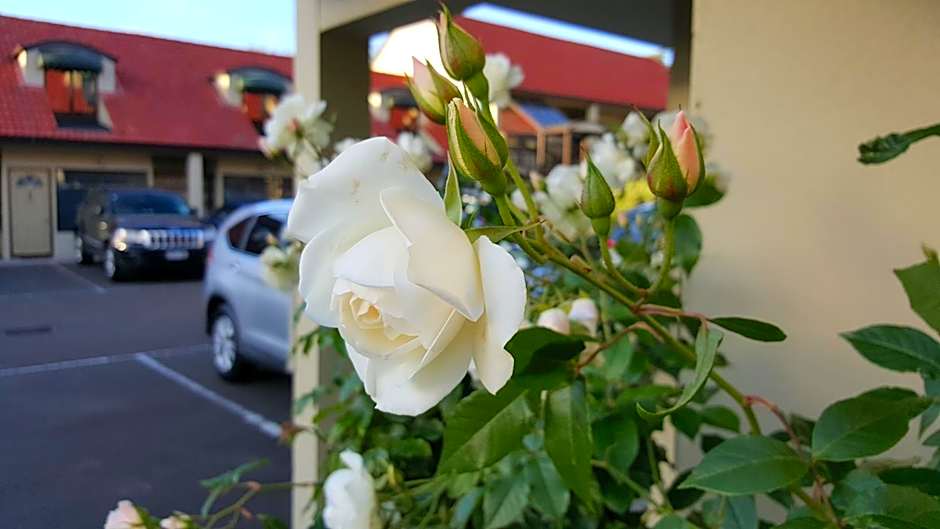 Rose City Motel