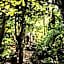 Alma do Pico - Nature Residence