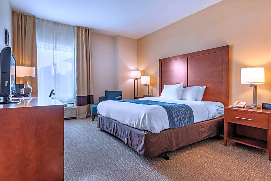 Comfort Inn Apalachin / Binghamton W Route 17