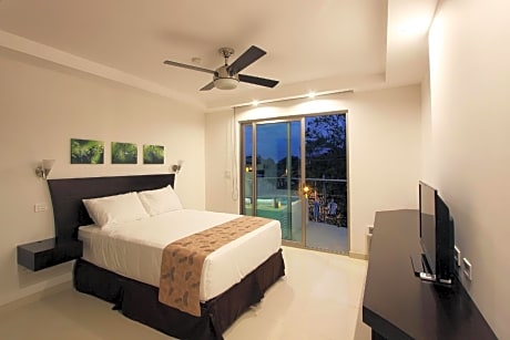 1 Bedroom POOL SUITE With Kitchen, Plunge pool, Living room, 2 XL balconies