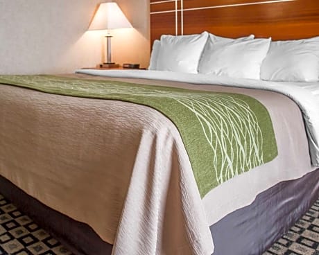 Standard with 1 King Bed