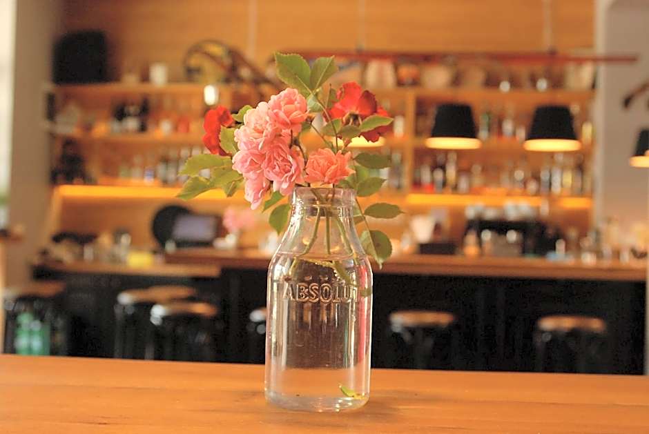 White Lavina - Ski, Bike, Hike