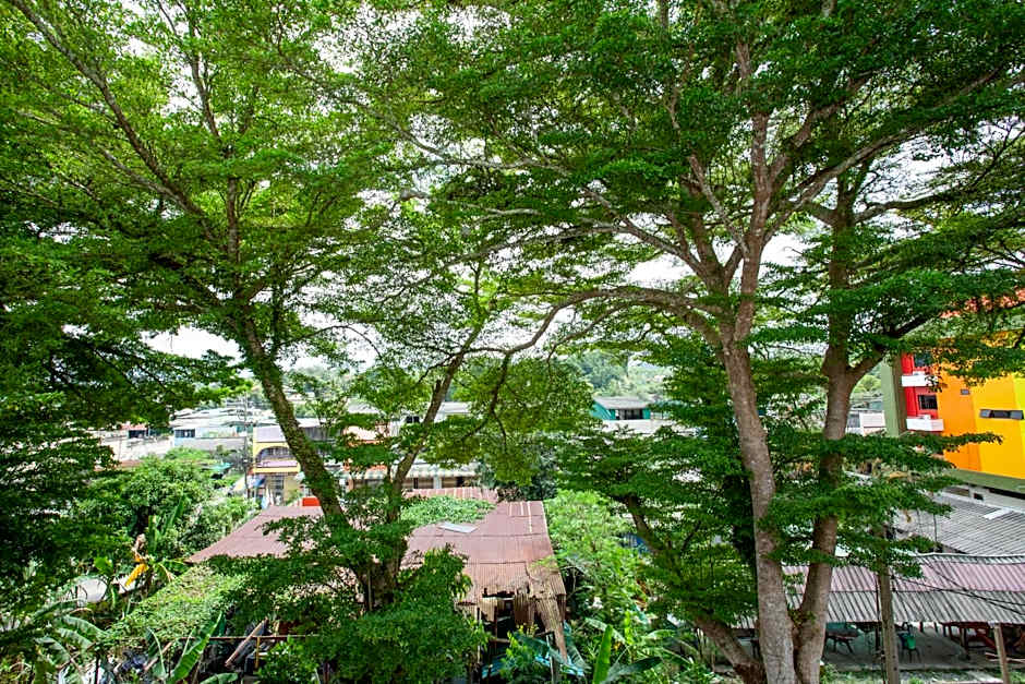 Tree Home ที่พักเบตงสไตล์ครอบครัว