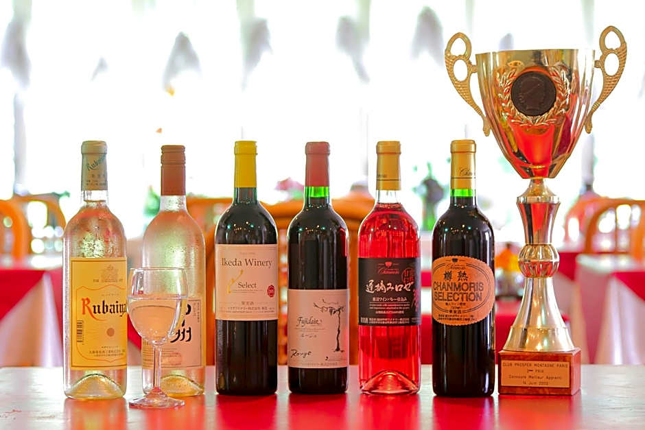 Mt Fuji B&B PENSION LE LAGON