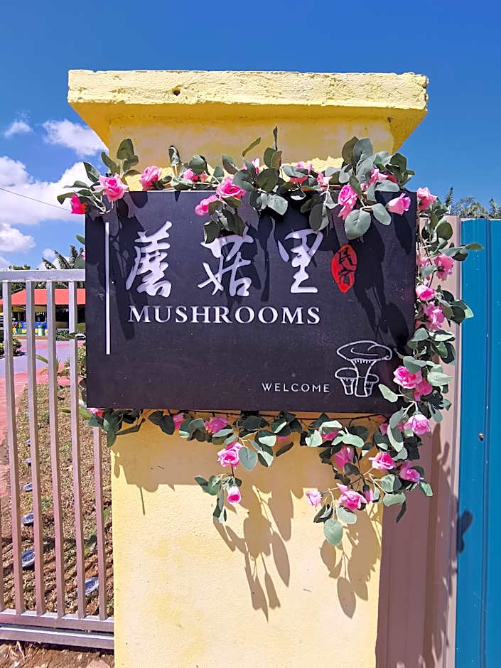 MUSHROOMS INN