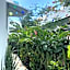 Maison Bacalar