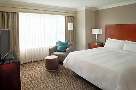 Suite Executive City View