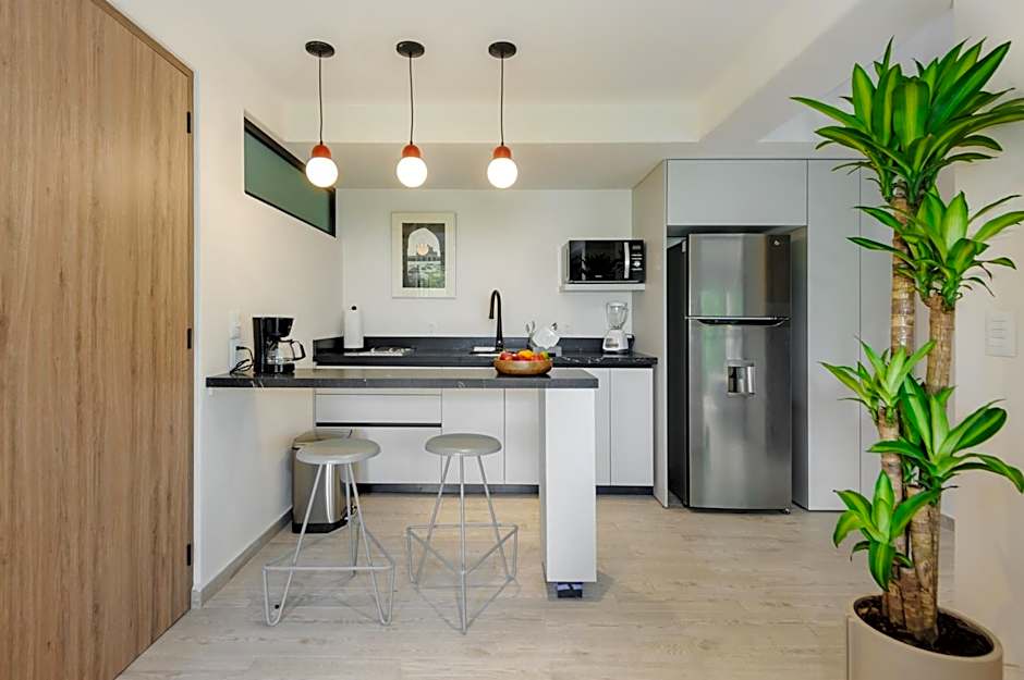 Choapan 28 - Lux Apartments in Condesa