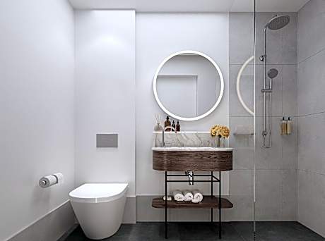 1 King Standard Accessible