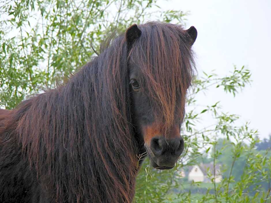 Les Belleme Golf - Self-catering Apartments