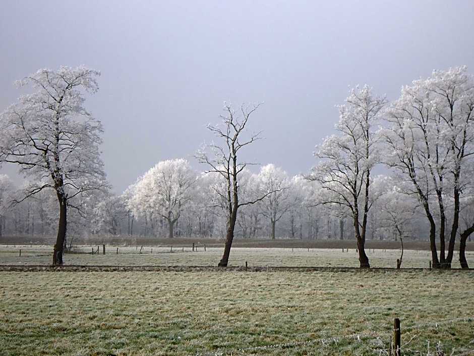 Bed & Breakfast El Manso