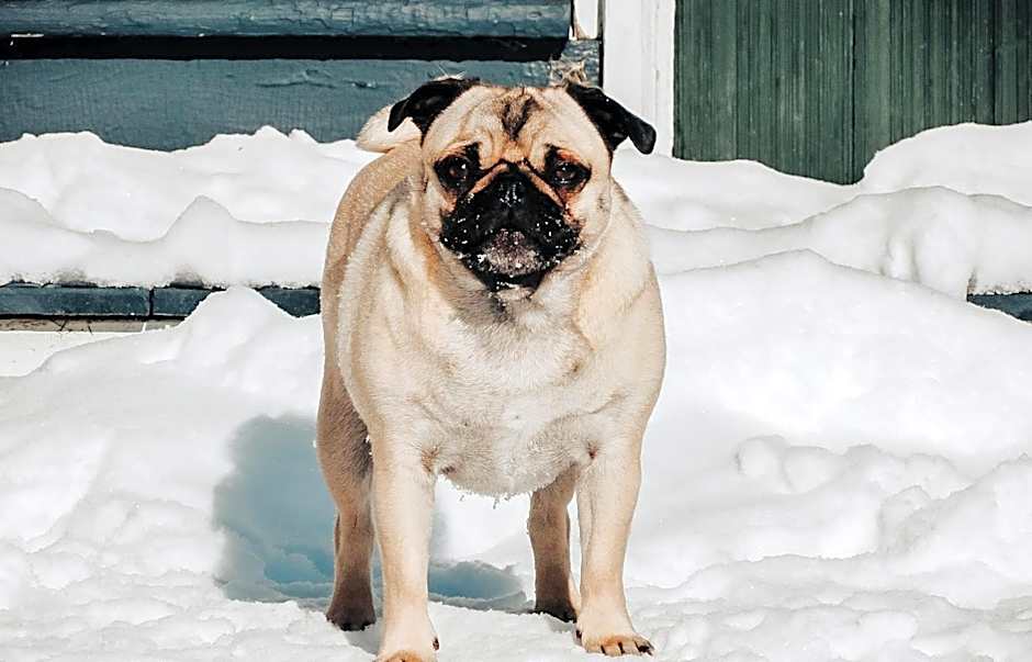 Rangeley Town & Lake