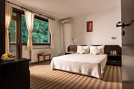 Double or Twin Room with Mountain View