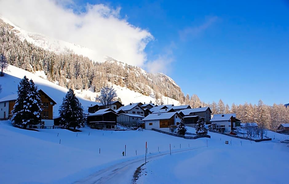 Hotel Restaurant Walserhof