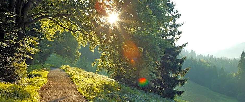 Landgasthof Kirchmayer