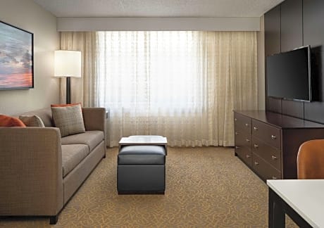 King Studio Suite