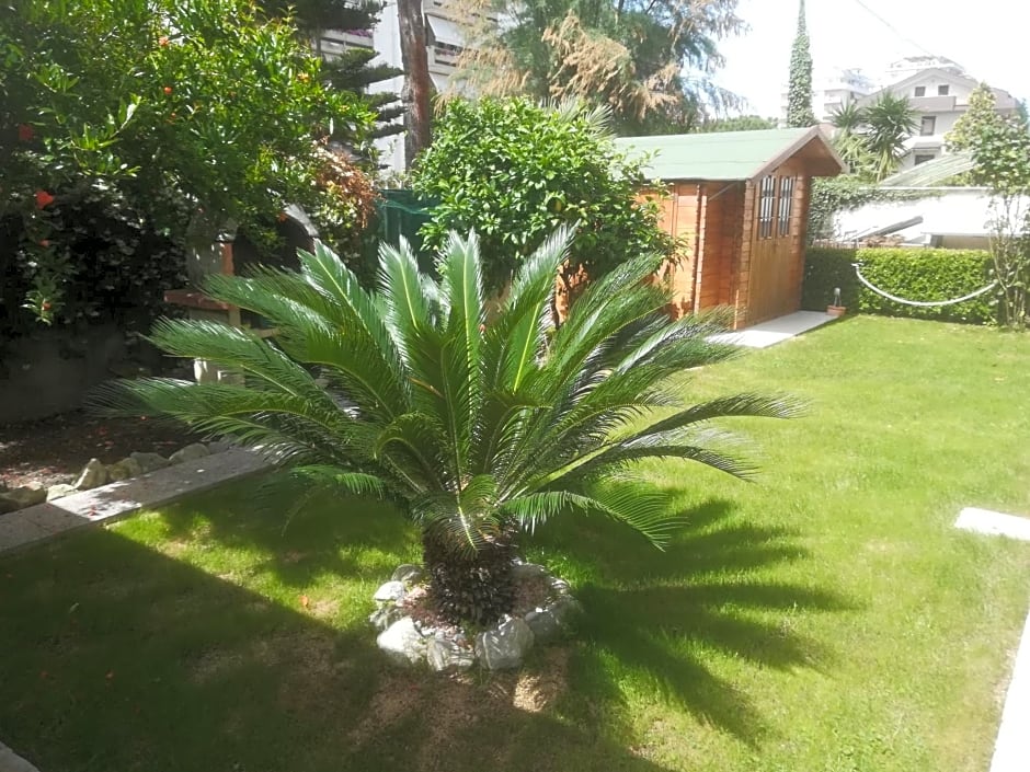 Il Cavalluccio Marino