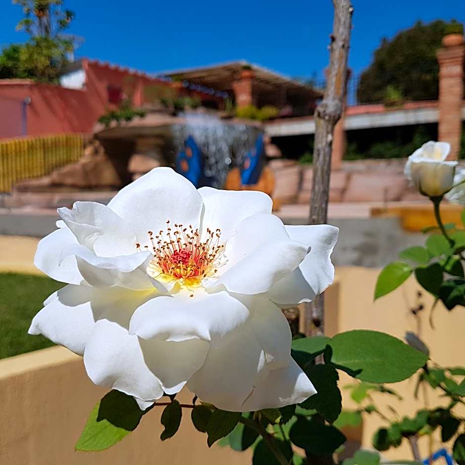 Pousada Nossa Senhora Aparecida