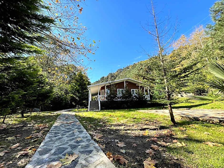 Feel & Live Hotel Villas Restaurant Sapanca