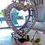 Misty Waves Boutique Hotel
