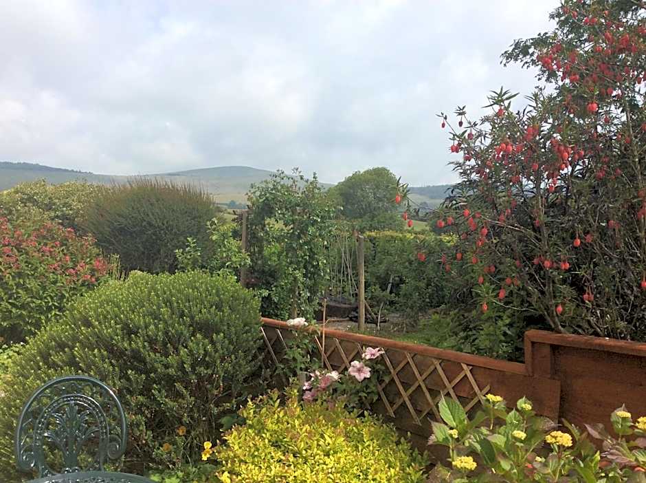 Brynhaul Bed and Breakfast