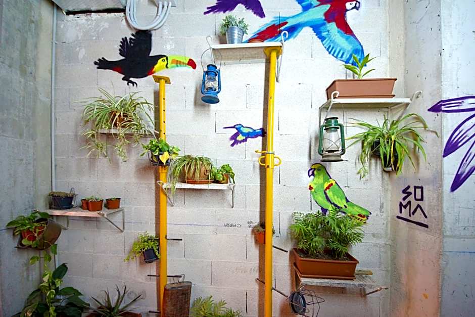 BRICK PALMA - Turismo de Interior