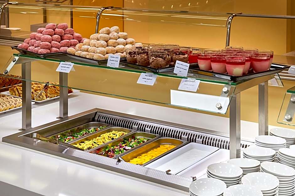 Congress & Wellness Hotel Olsanka