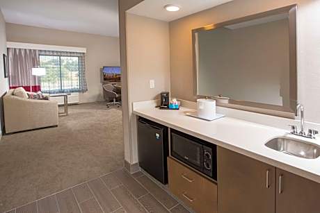 1 King Microwv/Fridge/Wet Bar Studio Suite Ns