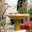 Riad Dar Jaguar