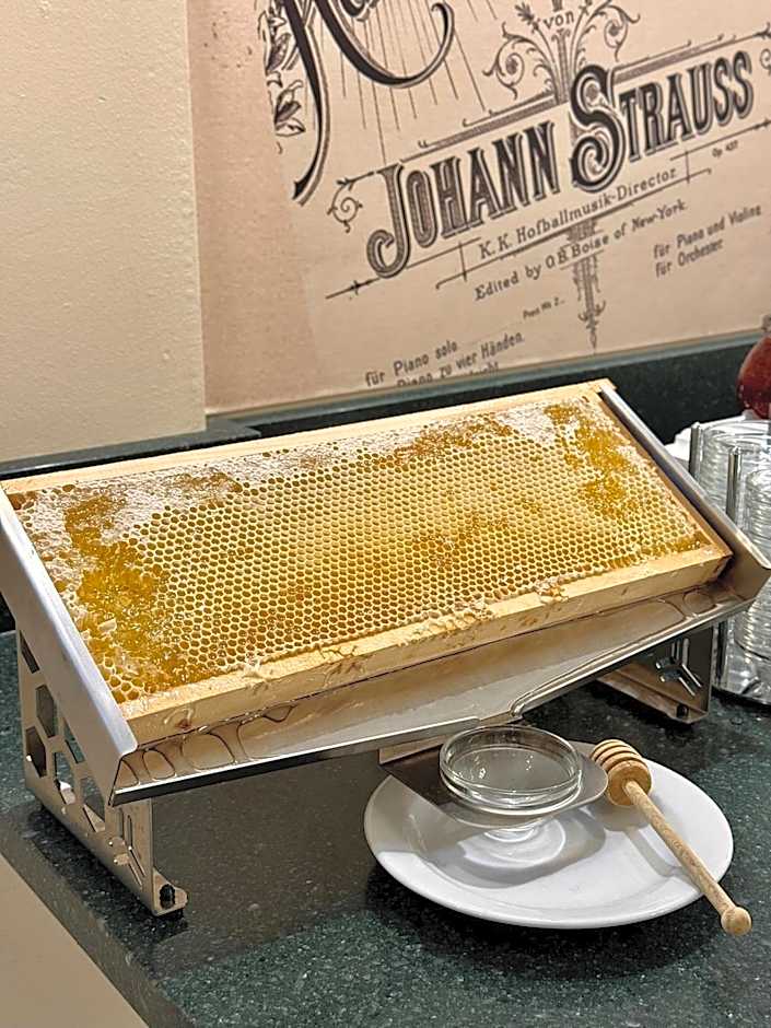 Hotel Johann Strauss