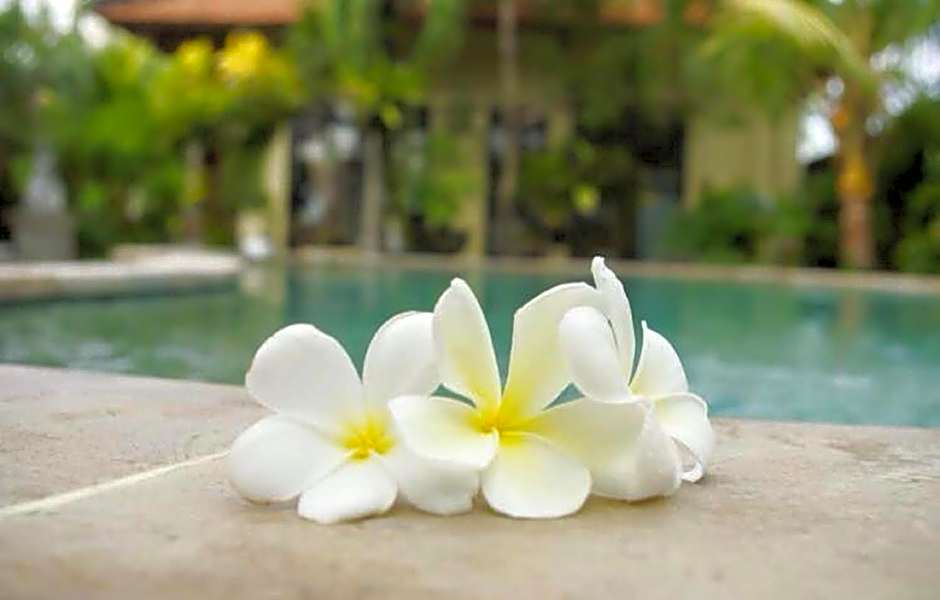 Villa Chandra