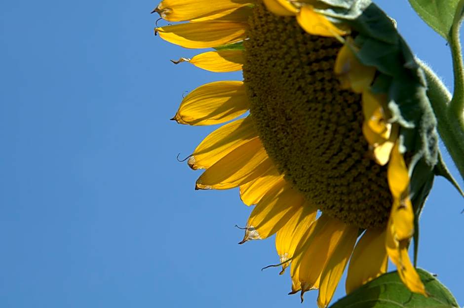 Elounda Solfez Villas