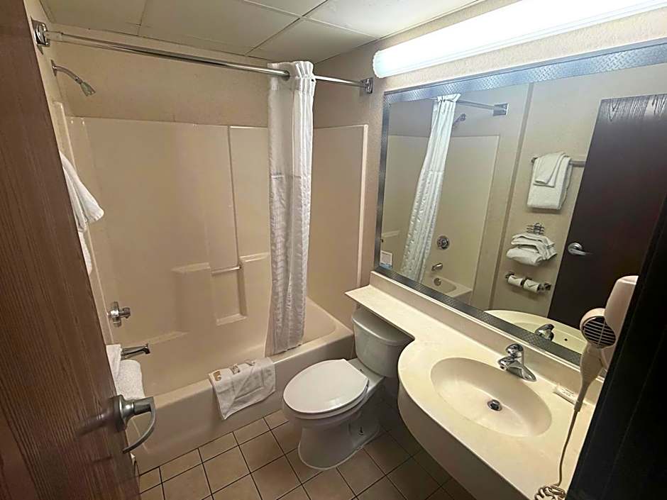 Microtel Inn & Suites by Wyndham Bloomington MSP Airport