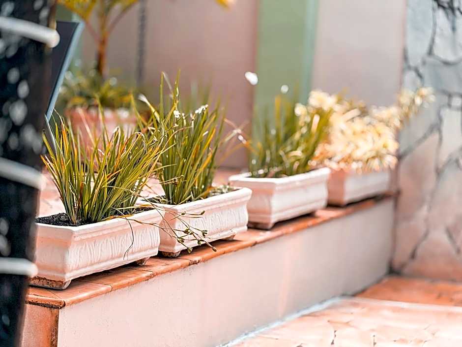 Pousada Quinta dos Colibris