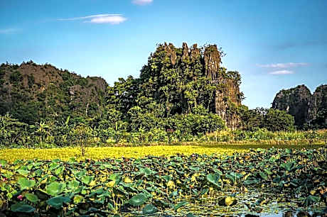 Tam Coc Cocoon Homestay