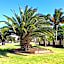 The Finley Palm Motor Inn