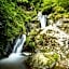 Chambres d'Hotes du Moulin de Lachaux