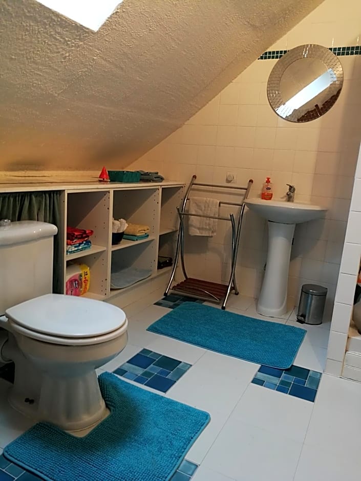 Les Bardinieres for Zoo Fleche