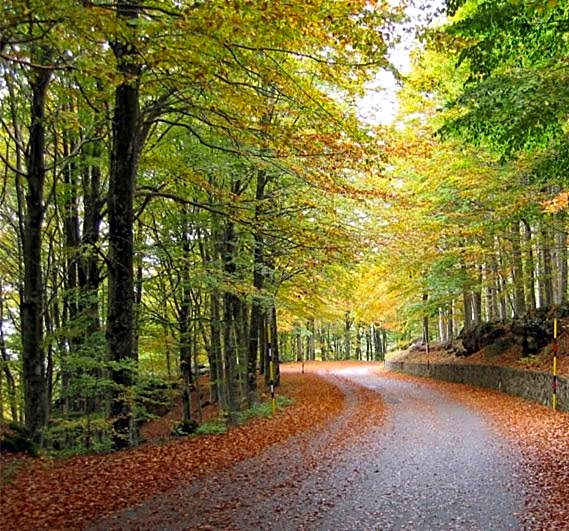 Albergo Generale Cantore - Monte Amiata