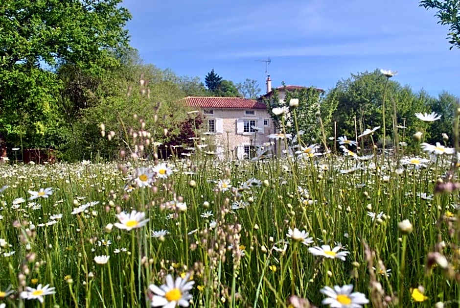 Moulin sous la Vergne