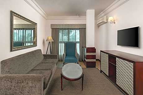 1 Bedroom Junior Suite, 1 King