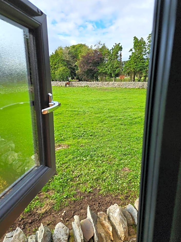 Woodland Shepherds Hut - 'Saga'