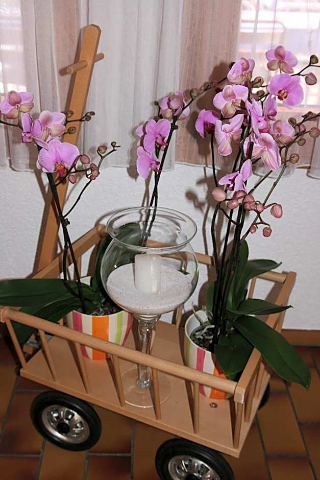 Hotel Glärnisch Hof