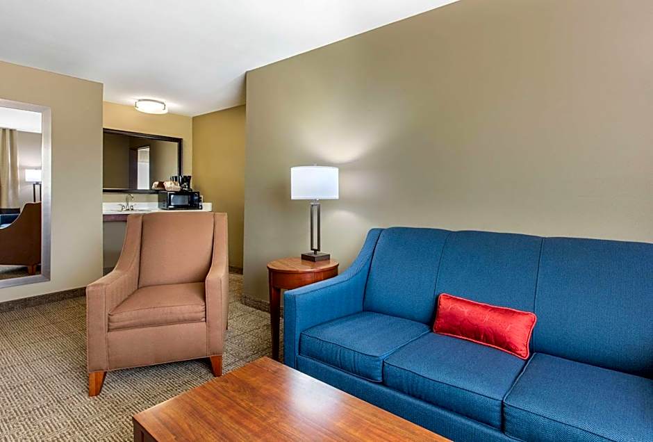 Comfort Inn & Suites Mccomb