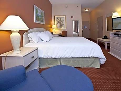 1 King Bed Nonsmoking