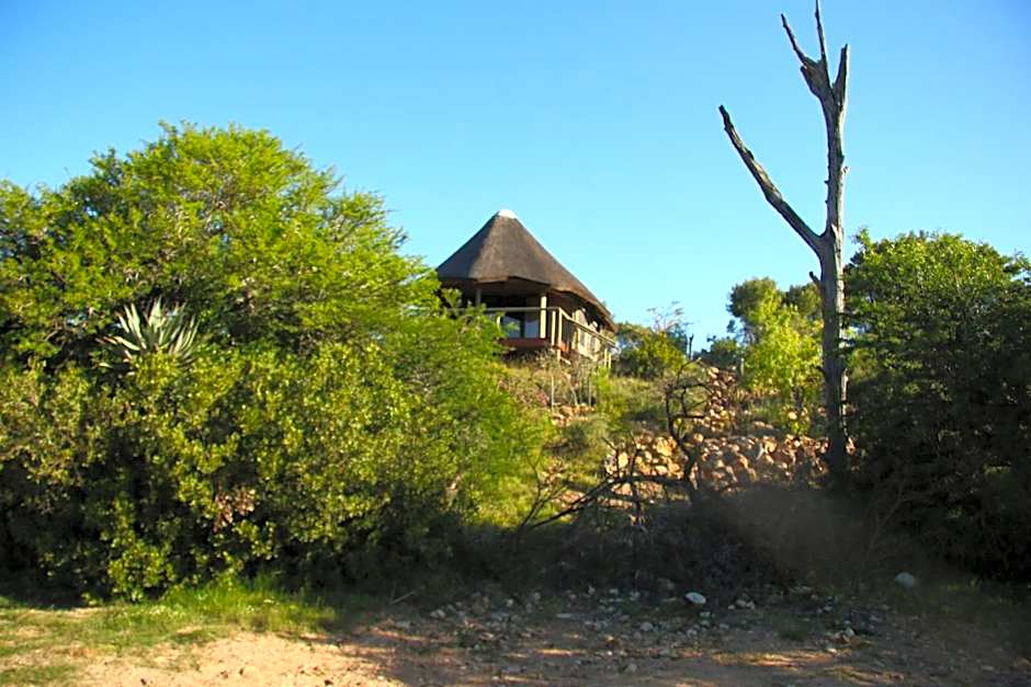 Garden Route Safari Camp