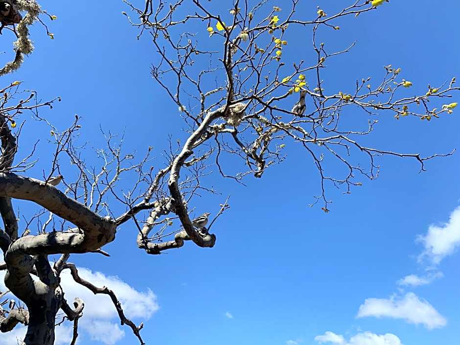 Casa do Ribeiro Frio